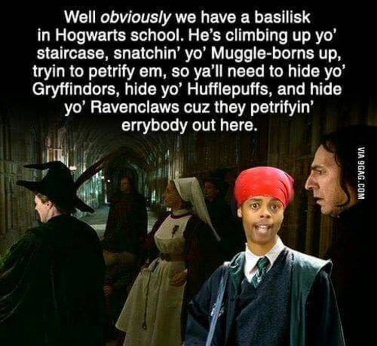 Harry Potter 10 Slytherin Memes That Prove Its The Sneakiest House Harry Potter 10 Slytherin Memes That Prove Its The Sneakiest House